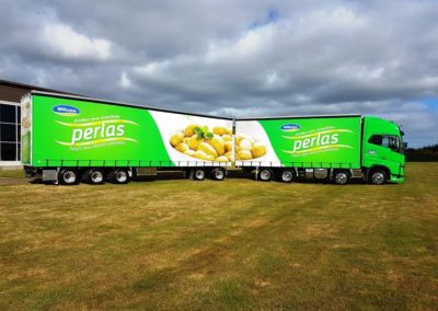 Domett Curtain Sider