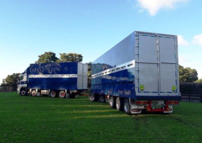 Domett Livestock Trailers