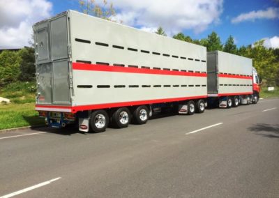 Domett Livestock Trailers