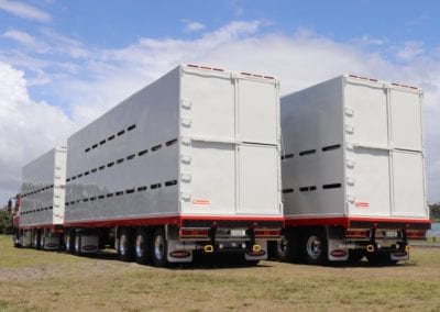 Domett Livestock Trailers