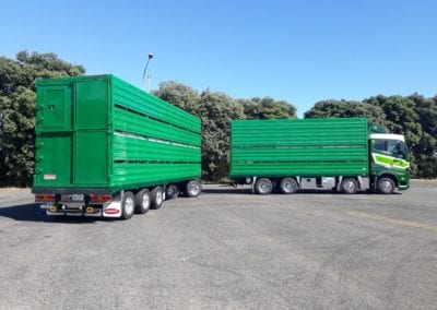 Domett Livestock Trailers