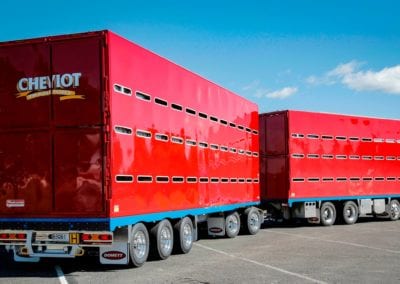 Domett Livestock Truck & Trailer