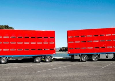 Domett Livestock Truck & Trailer