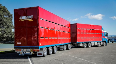 Domett Livestock Trailers